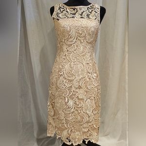 Adrianna Papell Evening Lace Dress sz 6